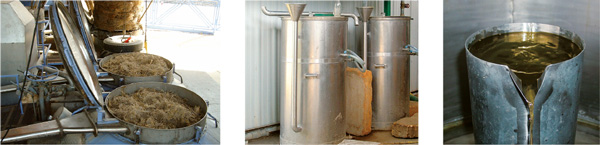 Distillation des huiles essentielles : plantes aromatiques, cuve de distillation, essencier