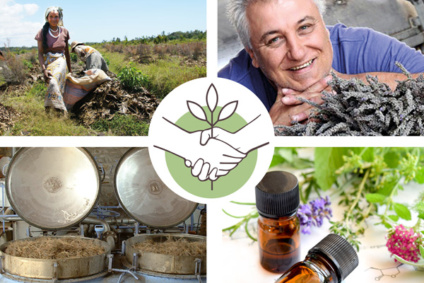 From farm to bottle, Pranarôm controlling the quality of an essential oil